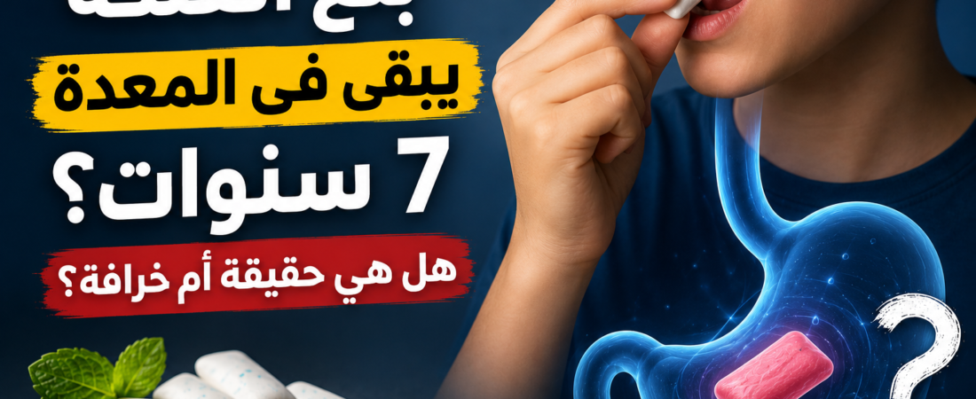 بلع العلكة يبقى في المعدة 7 سنوات؟ هل هي حقيقة أم خرافة؟