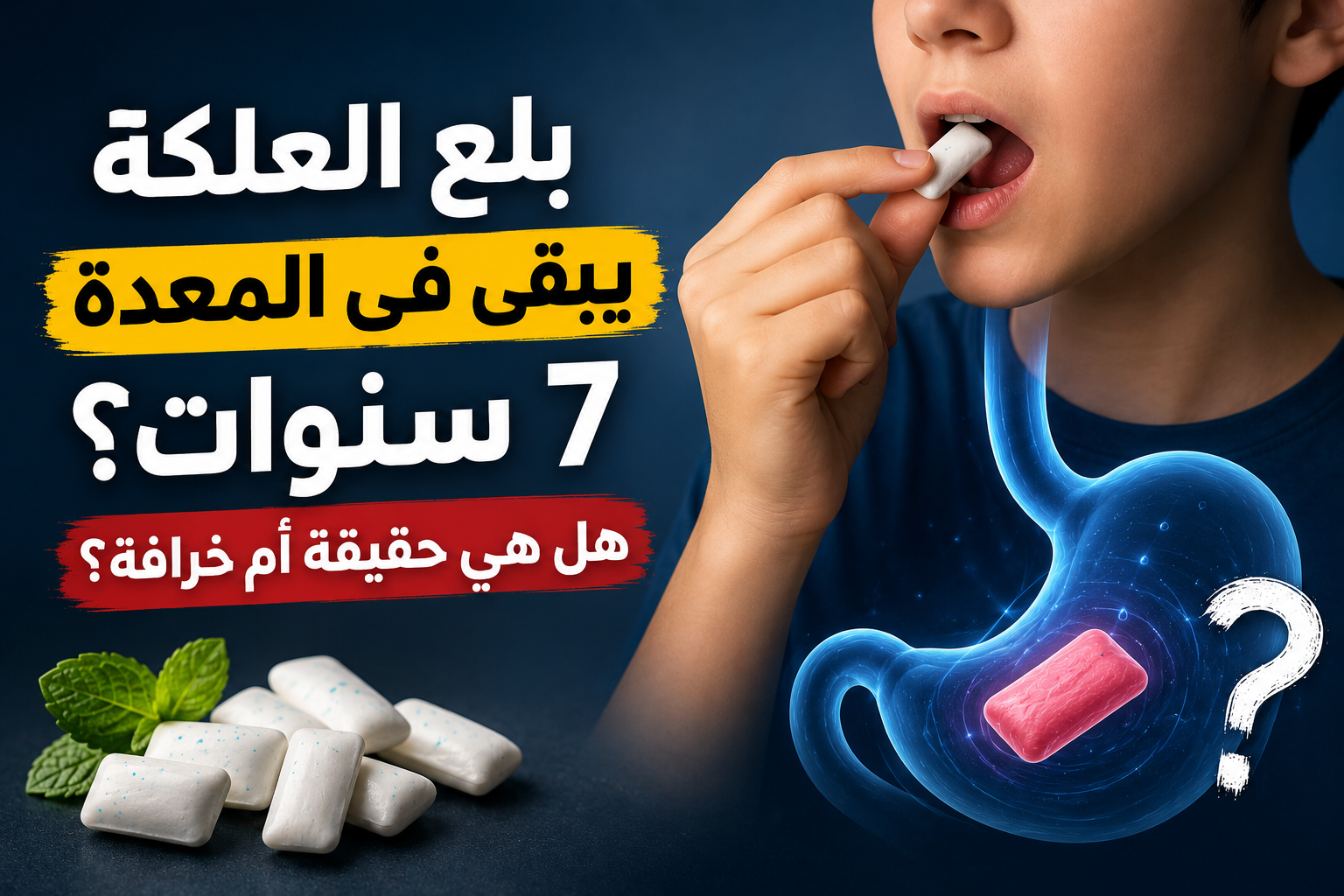بلع العلكة يبقى في المعدة 7 سنوات؟ هل هي حقيقة أم خرافة؟